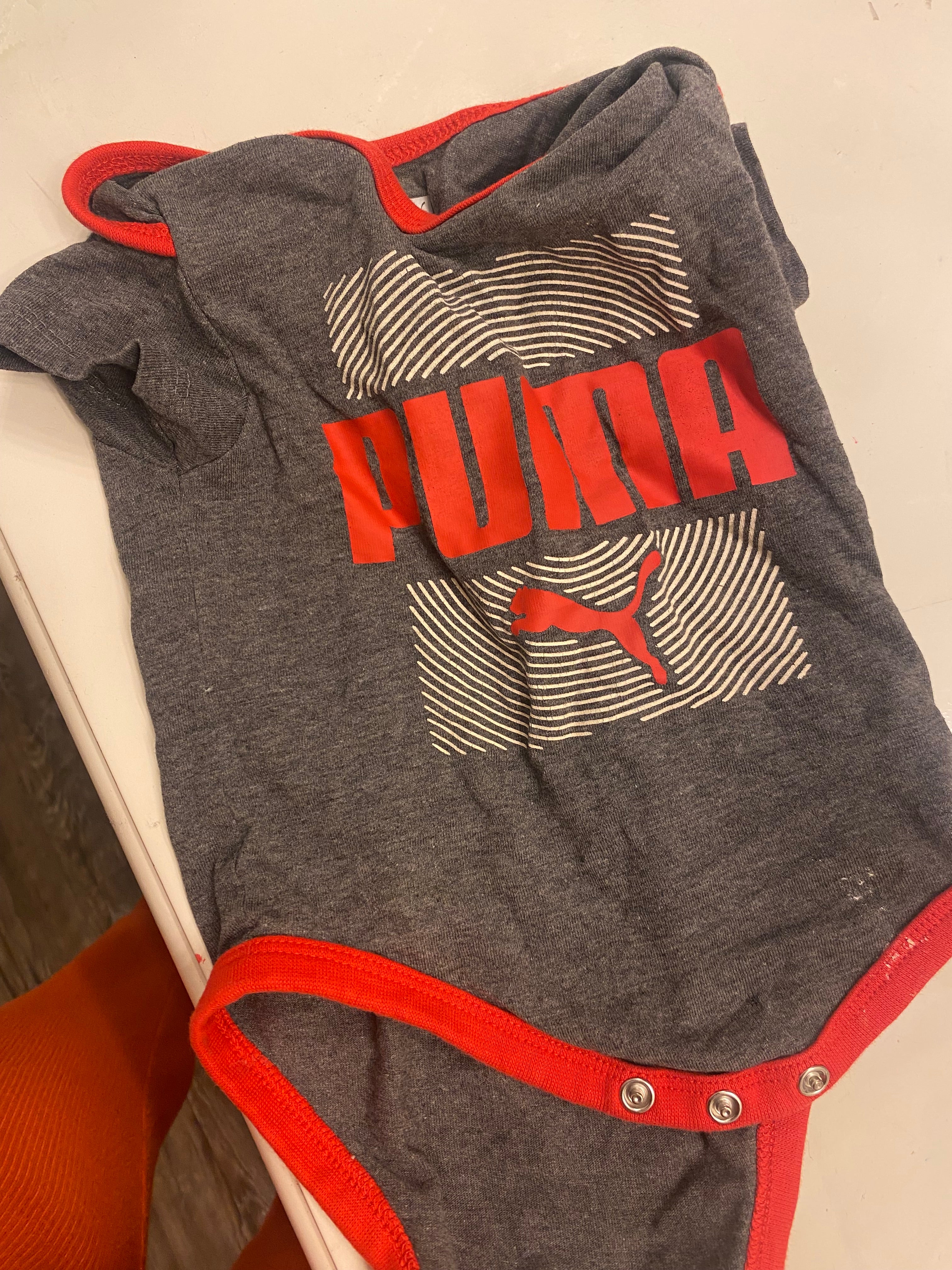 Puma